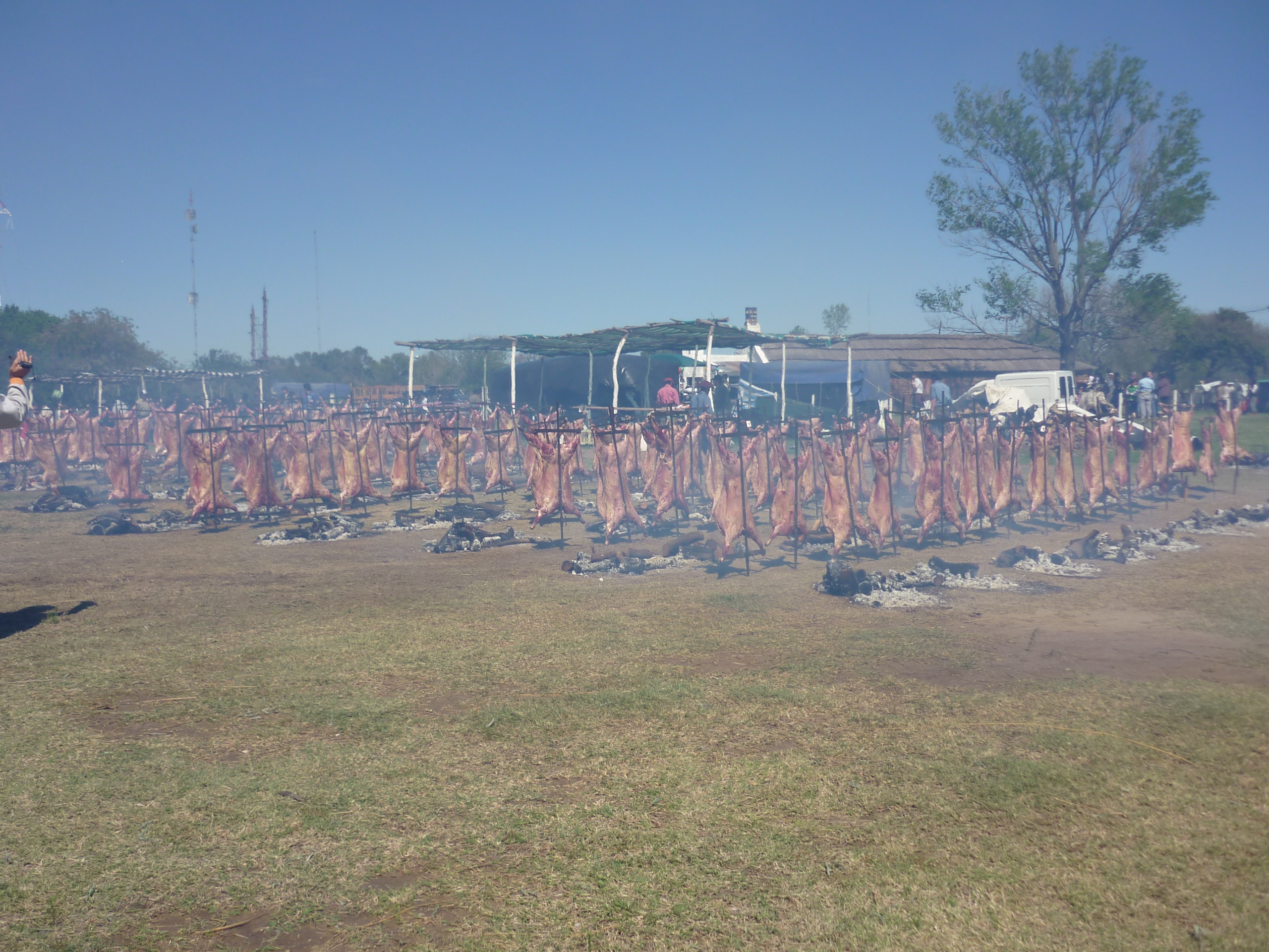 fotos/2009-10-11 - Fiesta del Cordero/P1000390.JPG